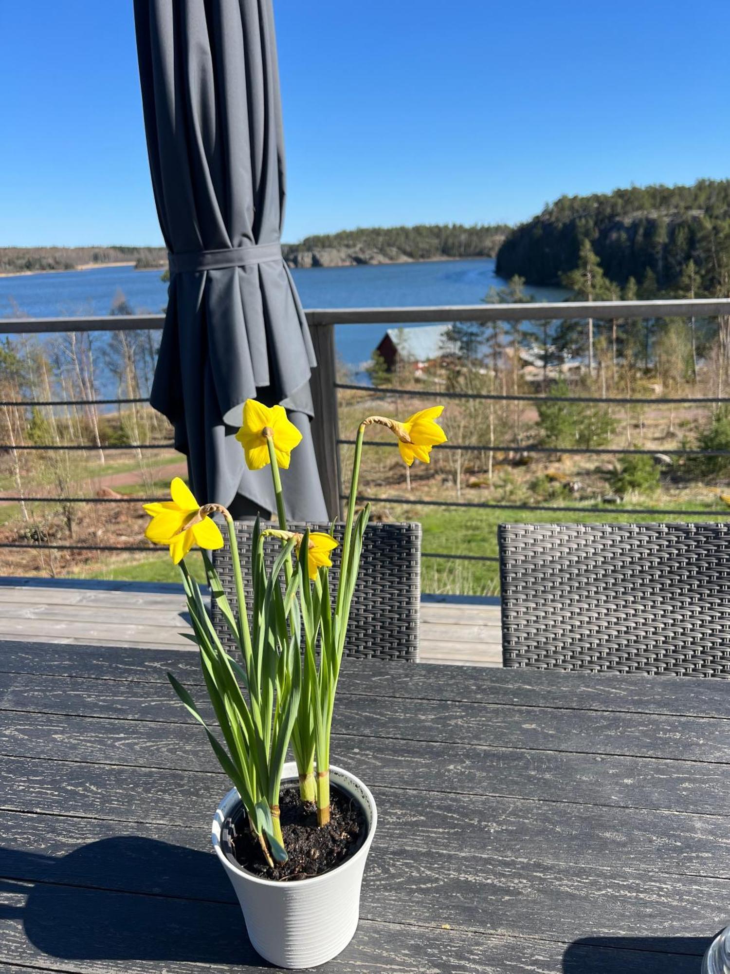 Finnoe Stugby Geta Exterior foto